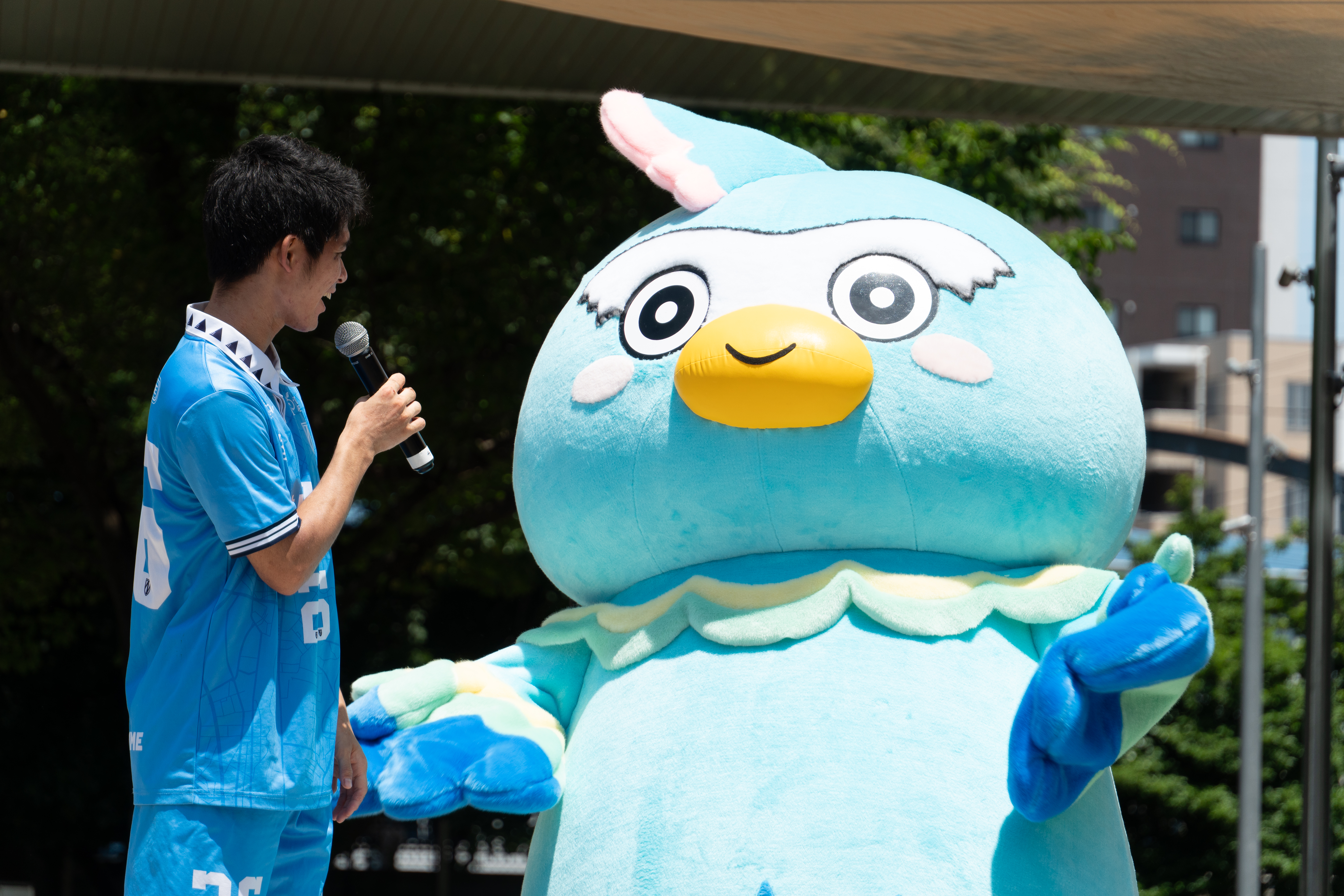 たっくん Amazon.co.jp: カラフル'ピーチ おおきな BIG ぬいぐるみ ② 約32